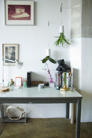 plantator-boskke-sky-prevratite-vash-mir-vverx-dnom-4